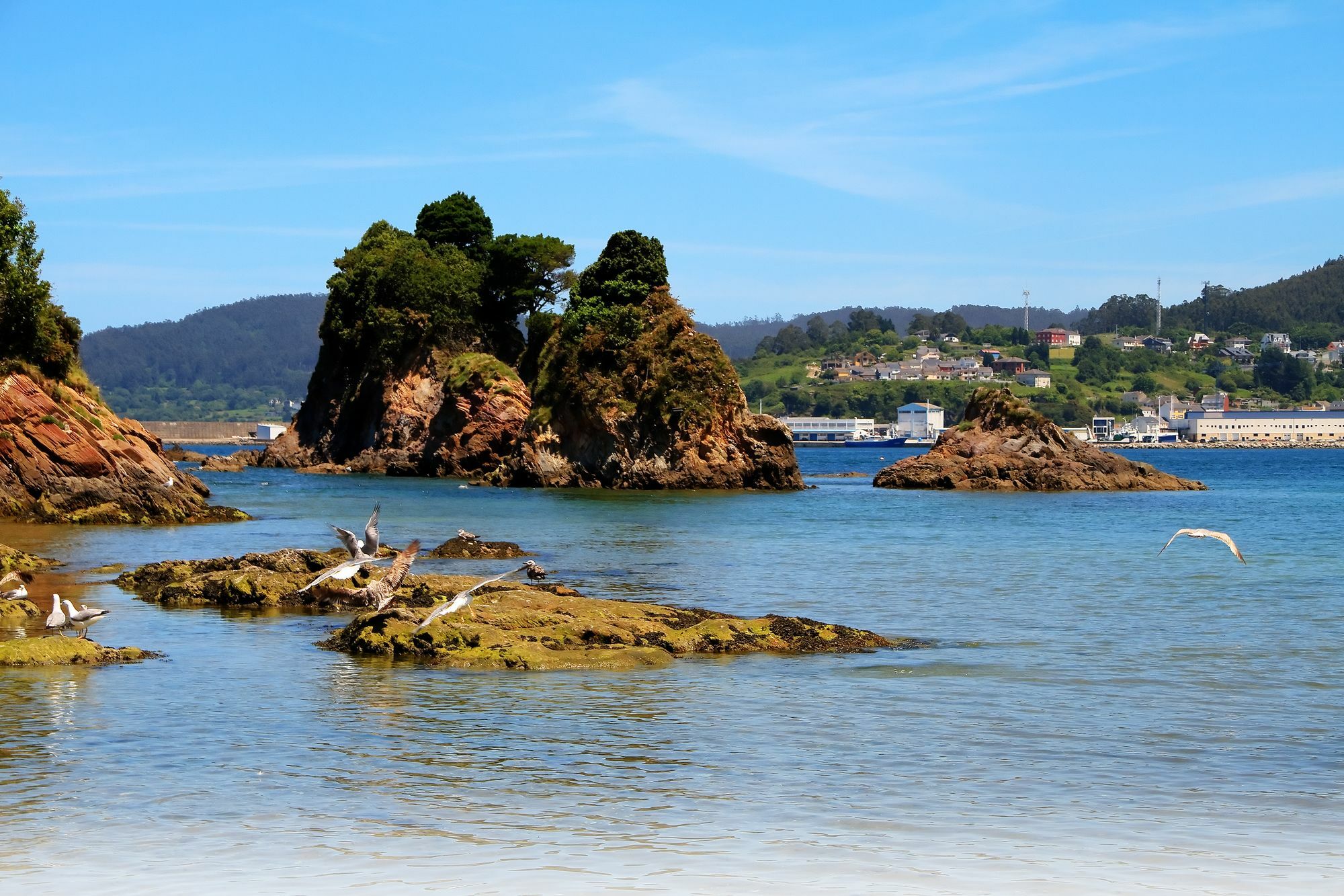 Apartmán Duerming Sea View Viveiro Exteriér fotografie